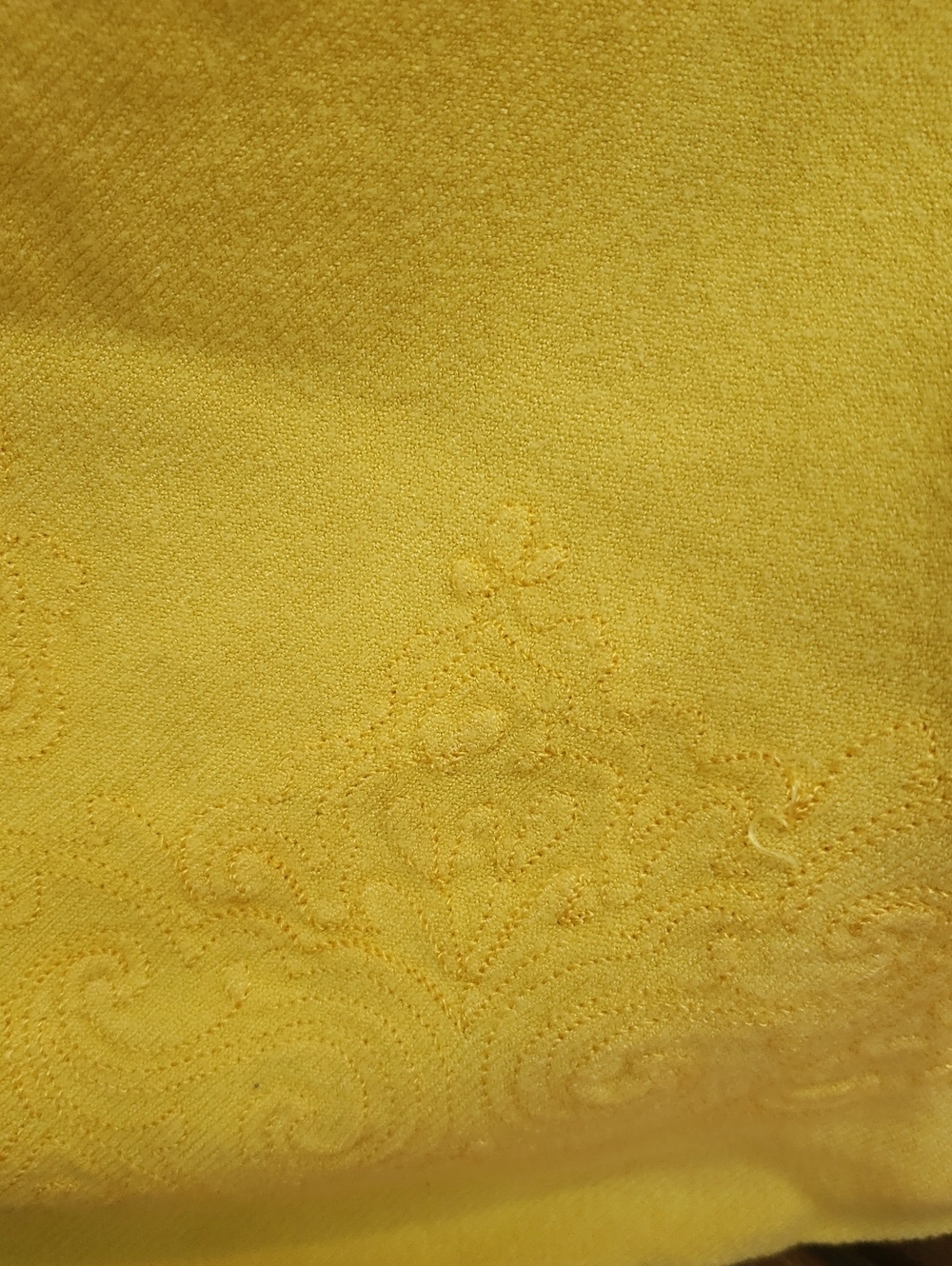Shawl with Embroidered Edge